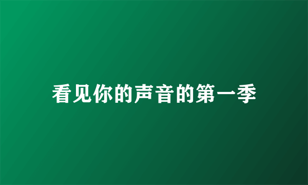 看见你的声音的第一季