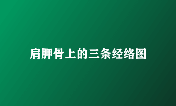 肩胛骨上的三条经络图