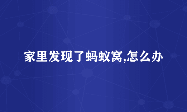家里发现了蚂蚁窝,怎么办