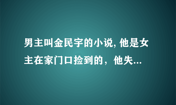 男主叫金民宇的小说, 他是女主在家门口捡到的，他失忆了，住在女主家，女主看他很帅，用他来赚钱……