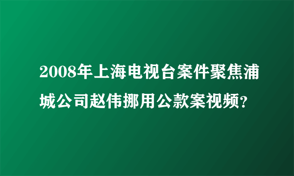 2008年上海电视台案件聚焦浦城公司赵伟挪用公款案视频？