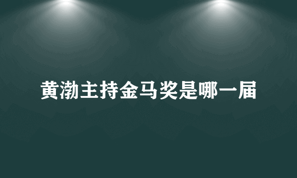 黄渤主持金马奖是哪一届