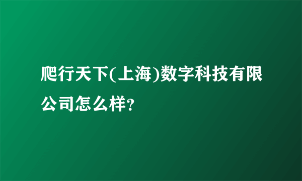 爬行天下(上海)数字科技有限公司怎么样？