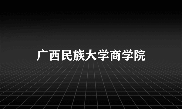 广西民族大学商学院