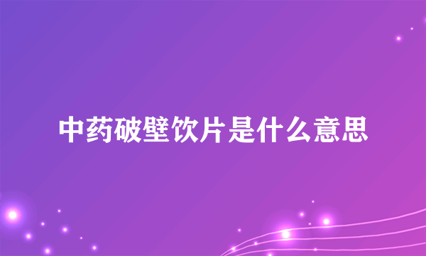 中药破壁饮片是什么意思