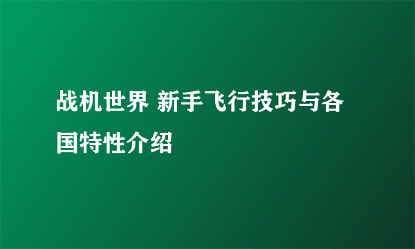 战机世界 新手飞行技巧与各国特性介绍