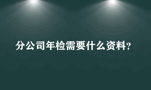分公司年检需要什么资料？