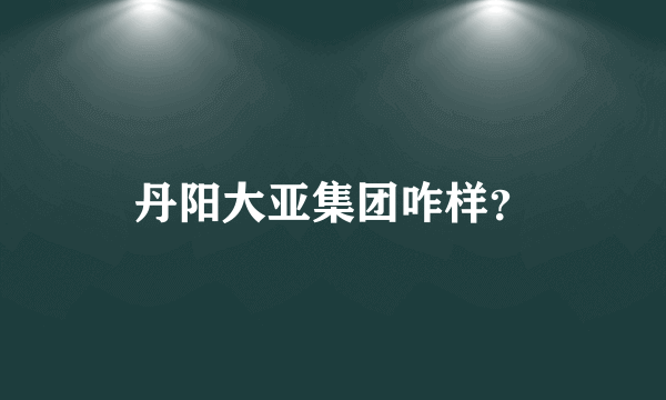 丹阳大亚集团咋样？