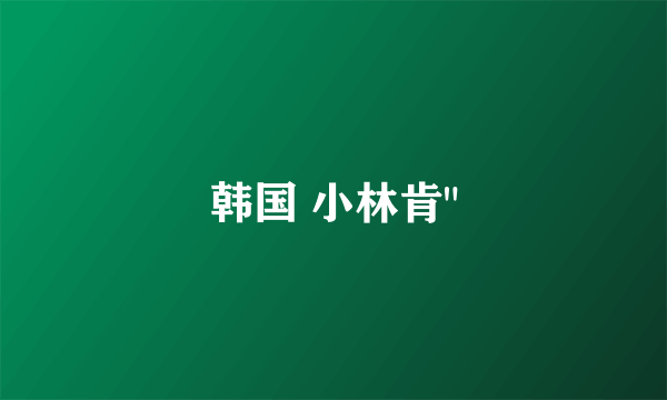 韩国 小林肯