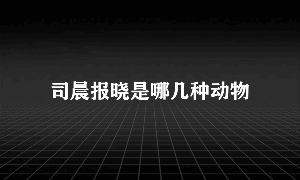 司晨报晓是哪几种动物