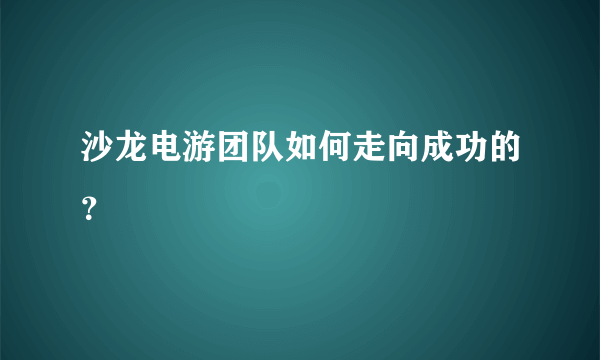 沙龙电游团队如何走向成功的？