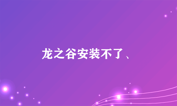 龙之谷安装不了、