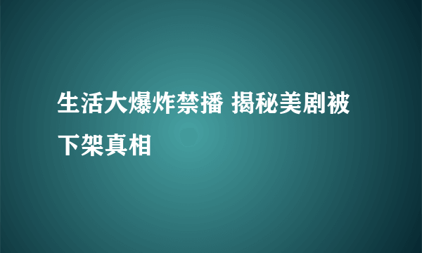 生活大爆炸禁播 揭秘美剧被下架真相