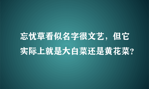 忘忧草看似名字很文艺，但它实际上就是大白菜还是黄花菜？
