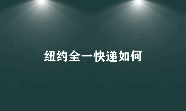 纽约全一快递如何