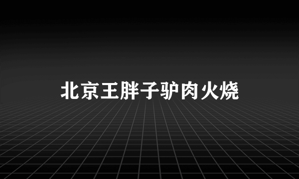 北京王胖子驴肉火烧