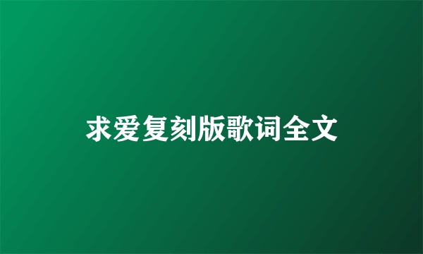 求爱复刻版歌词全文