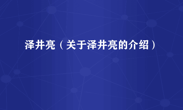 泽井亮（关于泽井亮的介绍）