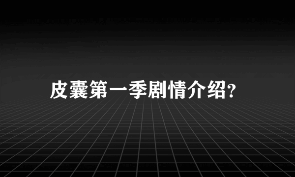 皮囊第一季剧情介绍？
