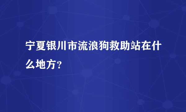 宁夏银川市流浪狗救助站在什么地方？