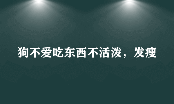 狗不爱吃东西不活泼，发瘦
