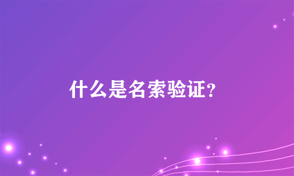 什么是名索验证？