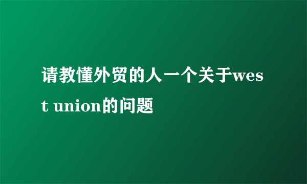 请教懂外贸的人一个关于west union的问题