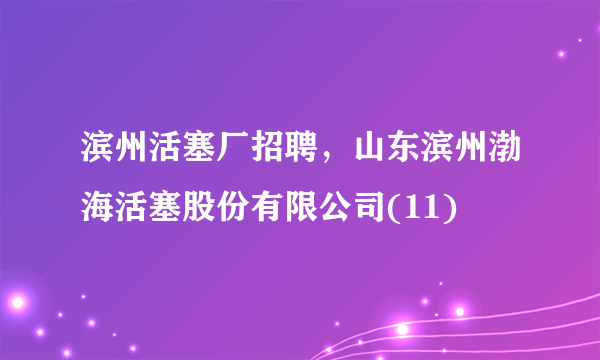 滨州活塞厂招聘，山东滨州渤海活塞股份有限公司(11)