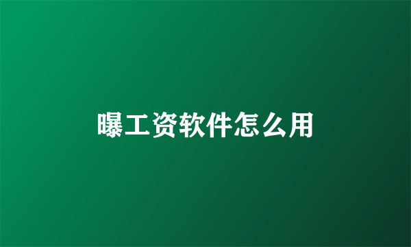 曝工资软件怎么用