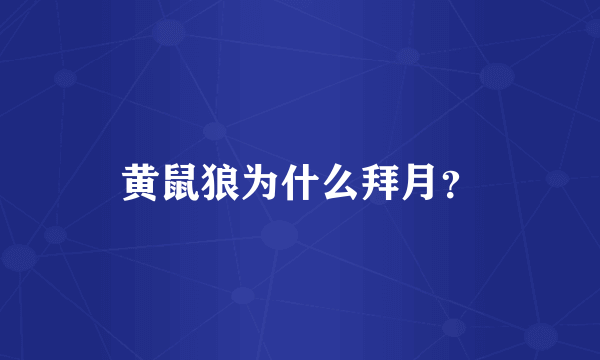 黄鼠狼为什么拜月？