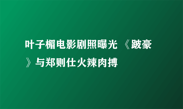 叶子楣电影剧照曝光 《跛豪》与郑则仕火辣肉搏