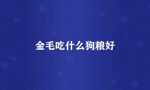 金毛吃什么狗粮好
