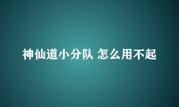 神仙道小分队 怎么用不起