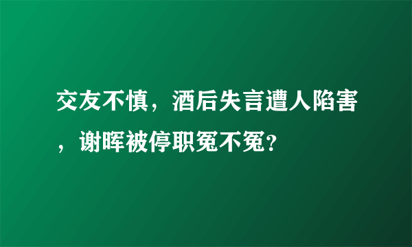 交友不慎，酒后失言遭人陷害，谢晖被停职冤不冤？