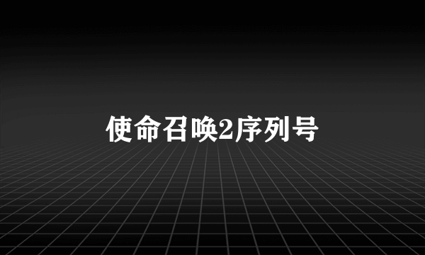 使命召唤2序列号