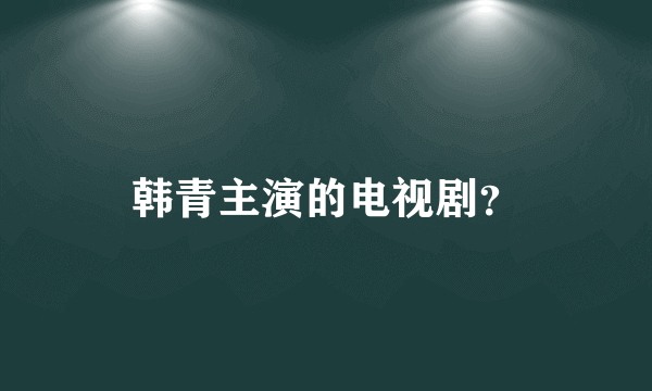韩青主演的电视剧？