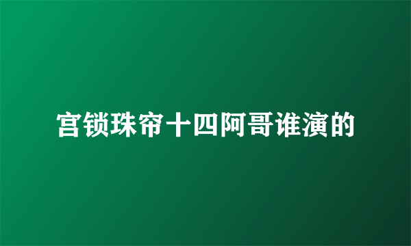 宫锁珠帘十四阿哥谁演的