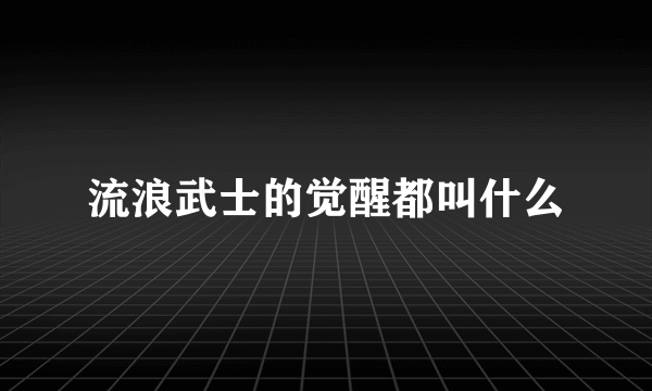 流浪武士的觉醒都叫什么