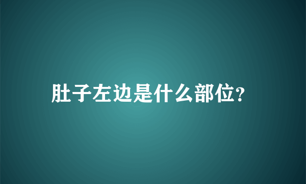 肚子左边是什么部位？