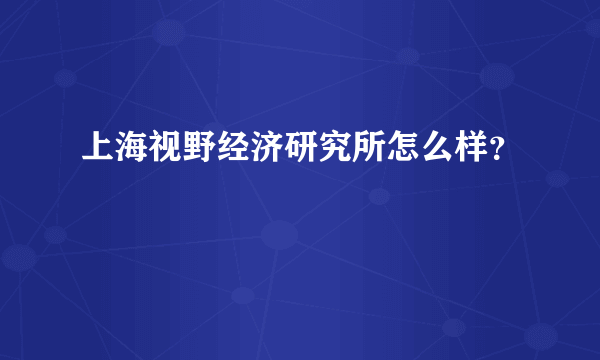 上海视野经济研究所怎么样？
