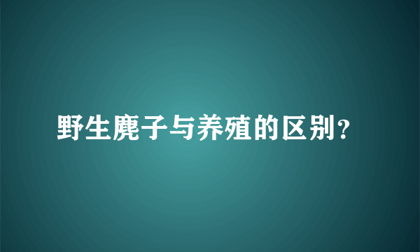 野生麂子与养殖的区别？