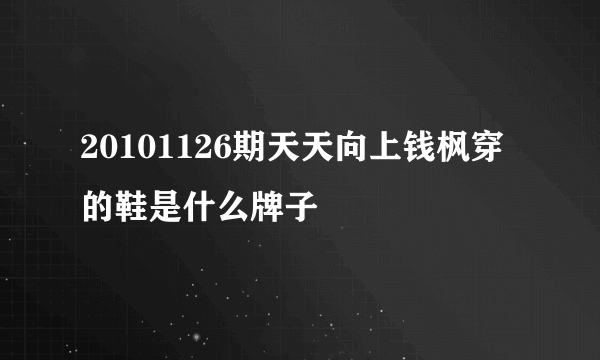 20101126期天天向上钱枫穿的鞋是什么牌子