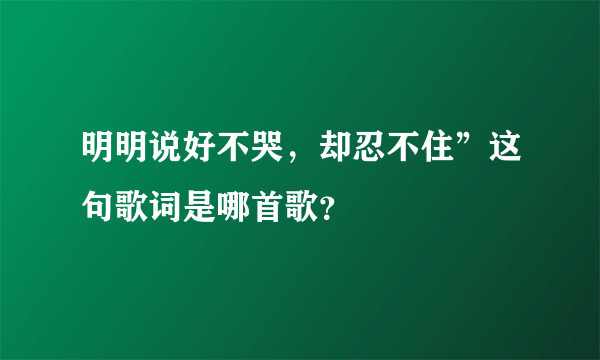 明明说好不哭，却忍不住”这句歌词是哪首歌？