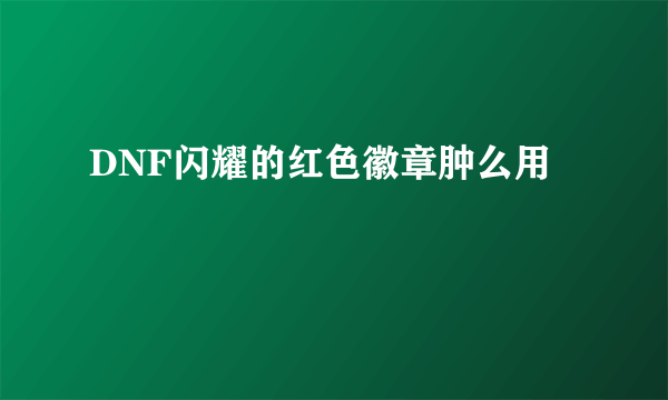 DNF闪耀的红色徽章肿么用