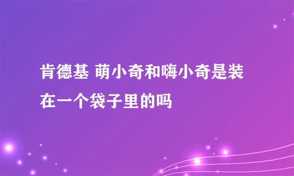 肯德基 萌小奇和嗨小奇是装在一个袋子里的吗