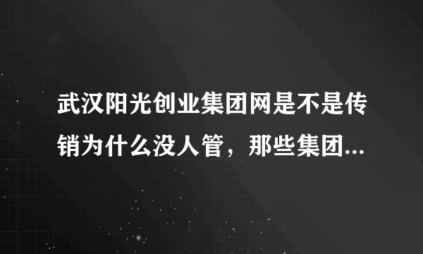 武汉阳光创业集团网是不是传销为什么没人管，那些集团网骗人，是中国联通户头
