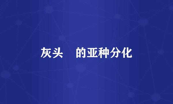 灰头鹀的亚种分化