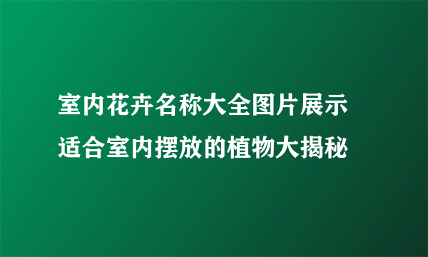 室内花卉名称大全图片展示 适合室内摆放的植物大揭秘