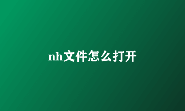 nh文件怎么打开