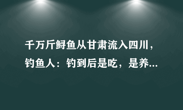 千万斤鲟鱼从甘肃流入四川，钓鱼人：钓到后是吃，是养，还是卖？